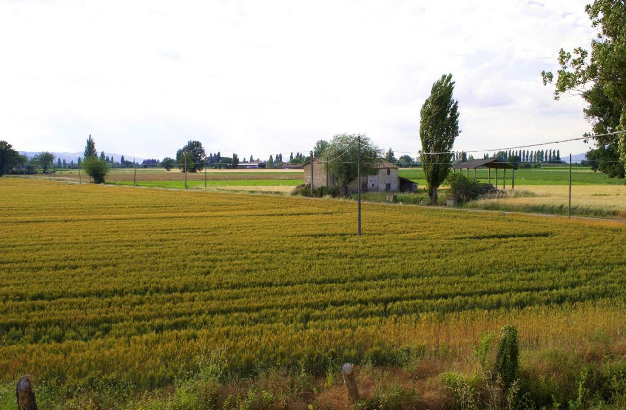 Villa Licinia Foligno Exterior foto